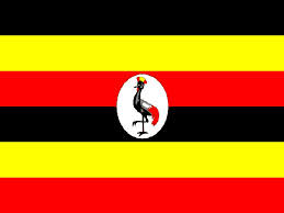 Group demands action over alleged animal abuse, donation scams in Uganda