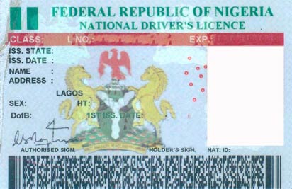 drive license international