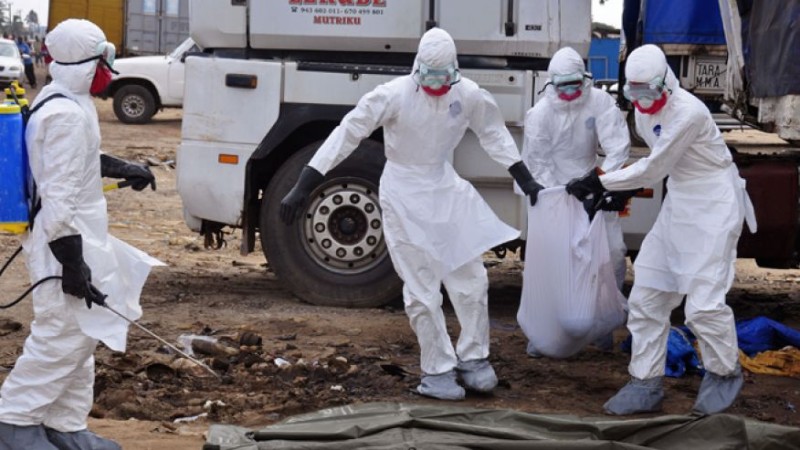 Ebola health workers in Congo