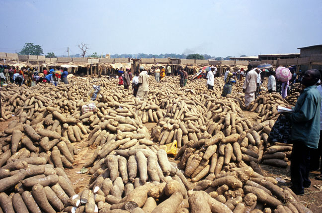 Nigeria&#39;s yam exporters want duty-free export to Europe | Premium Times Nigeria