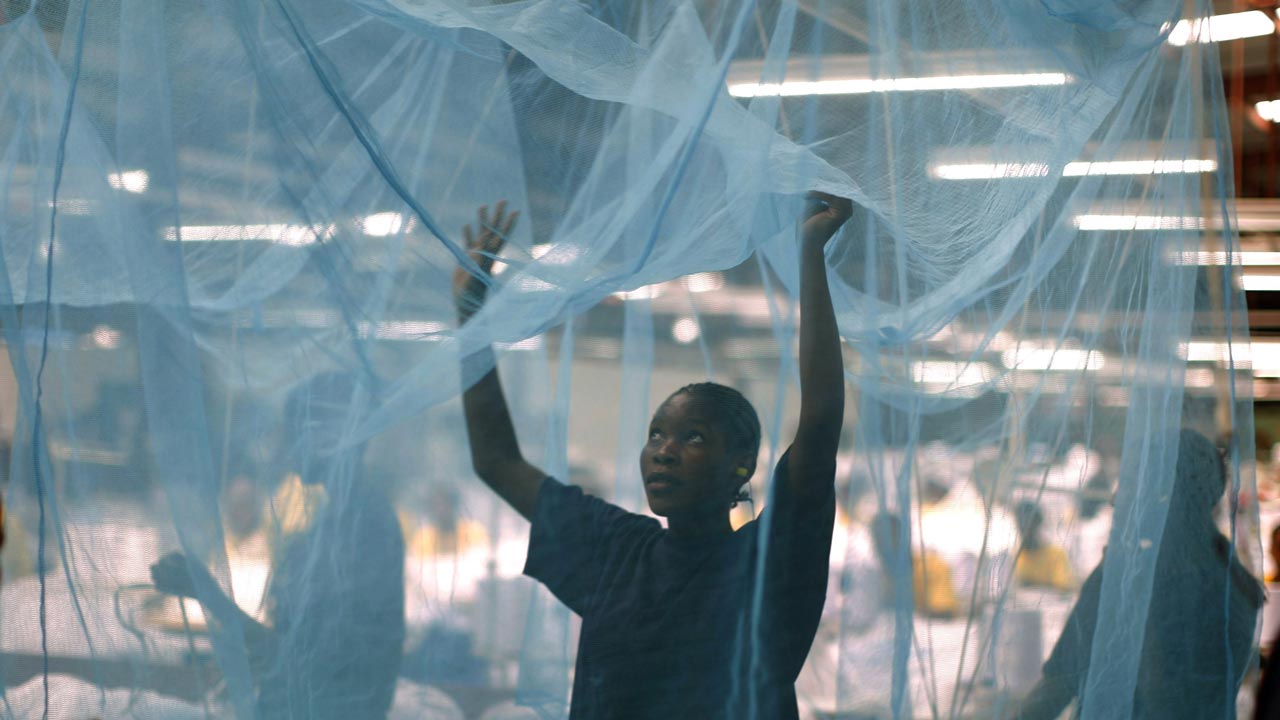 Mosquito net used to tell the story. [PHOTO CREDIT:The Guardian Nigeria]