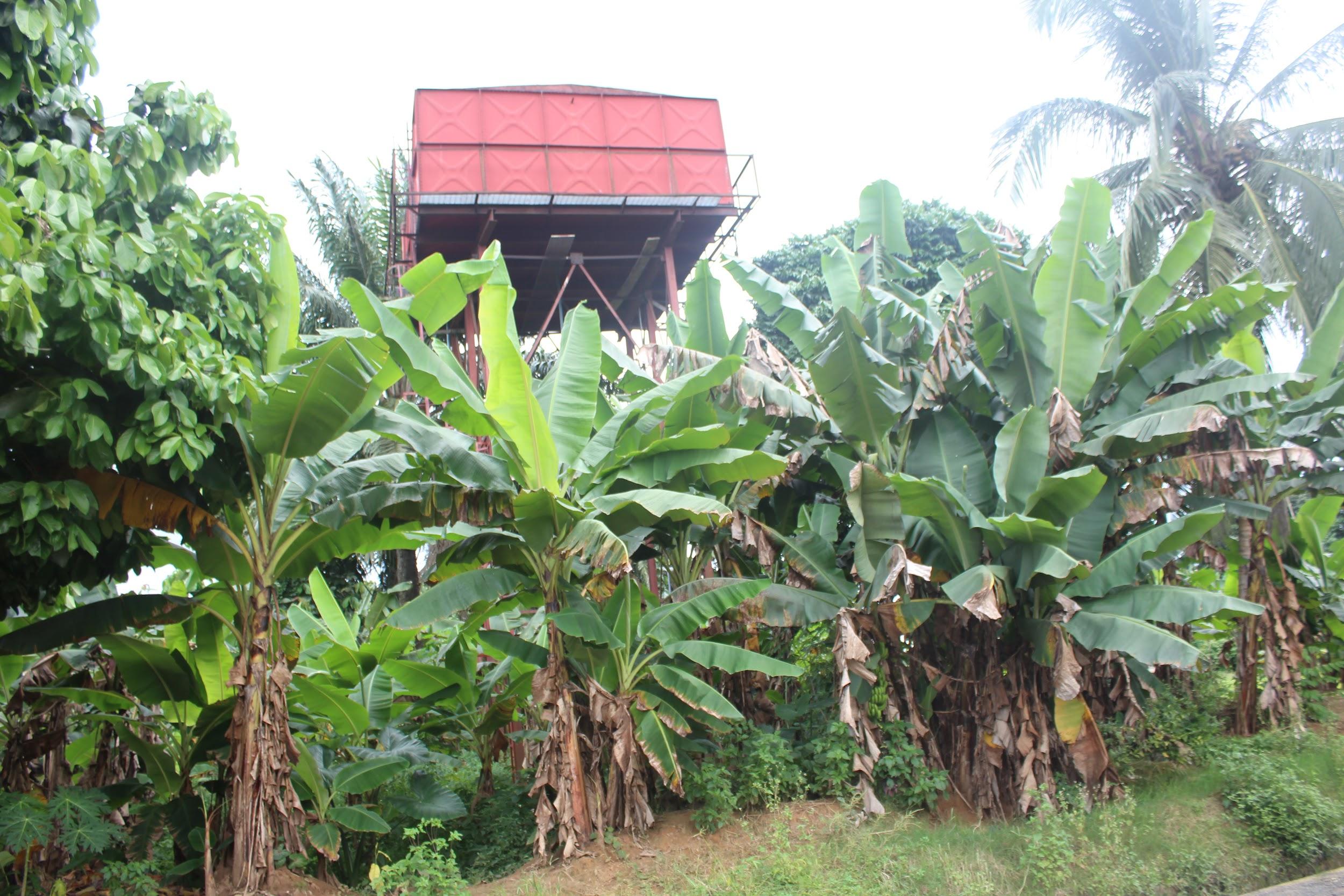 Abandoned solar-powered water project at Ifa Ikot Okpon