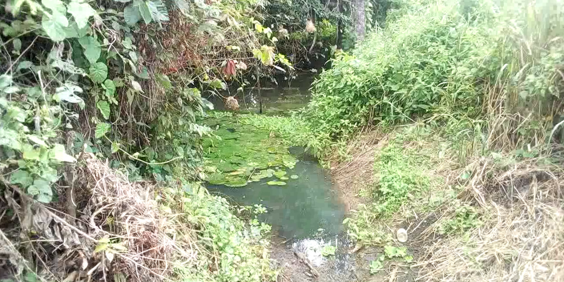 The stream in Aderupoko village