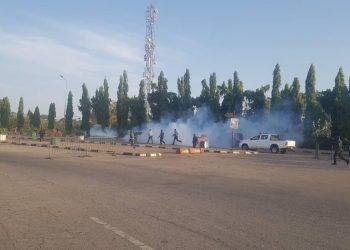 ENDSARS protesters in Abuja