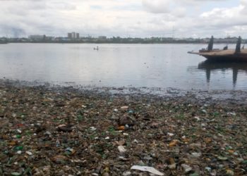 The shore of Amadi creek is dominated by plastic wastes. Photo Credit: Beloved John