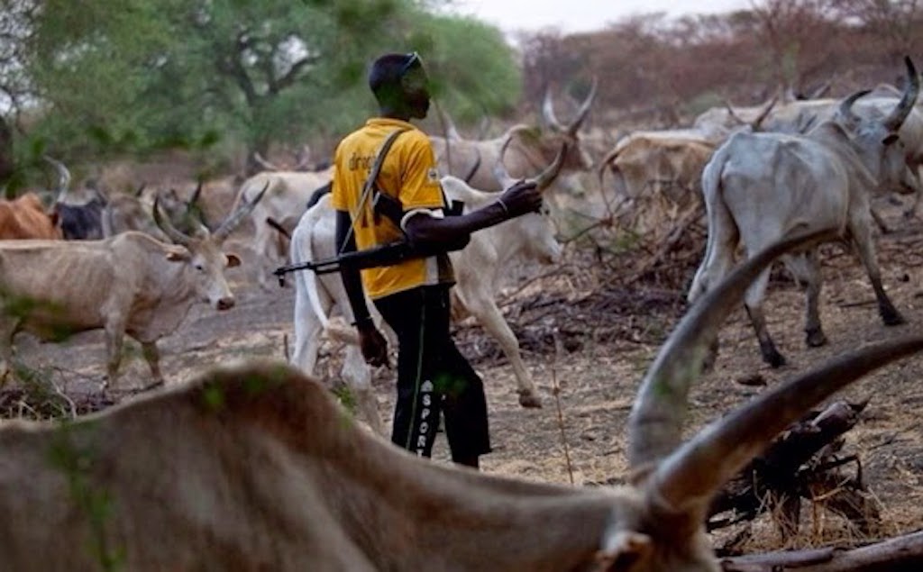 Armed herders