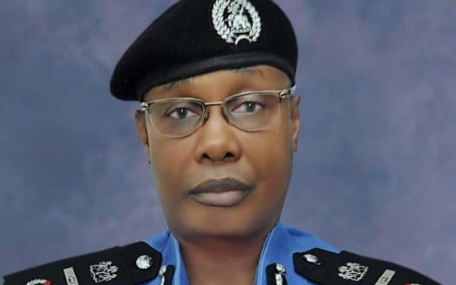 APC governorship race heats up in Yobe as ex-IGP Alkali, Tumsah, Kolo join