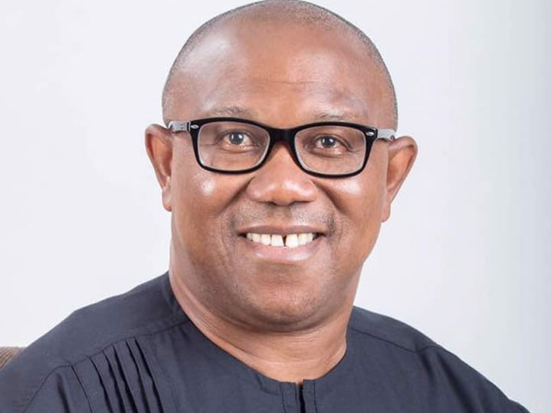 Peter Obi as Nigeria's Rosa Parks, By Festus Adedayo