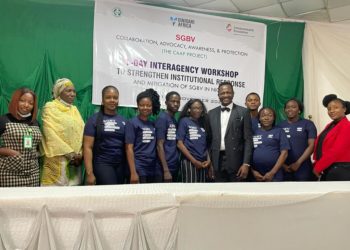 Dinidari Africa partners NHRC on SGBV response in Nigeria