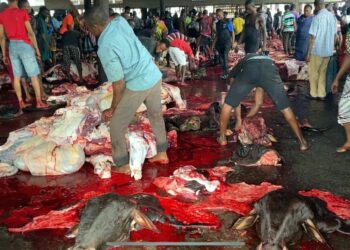 Butchers at the Uyo central abattoir, Akwa Ibom State