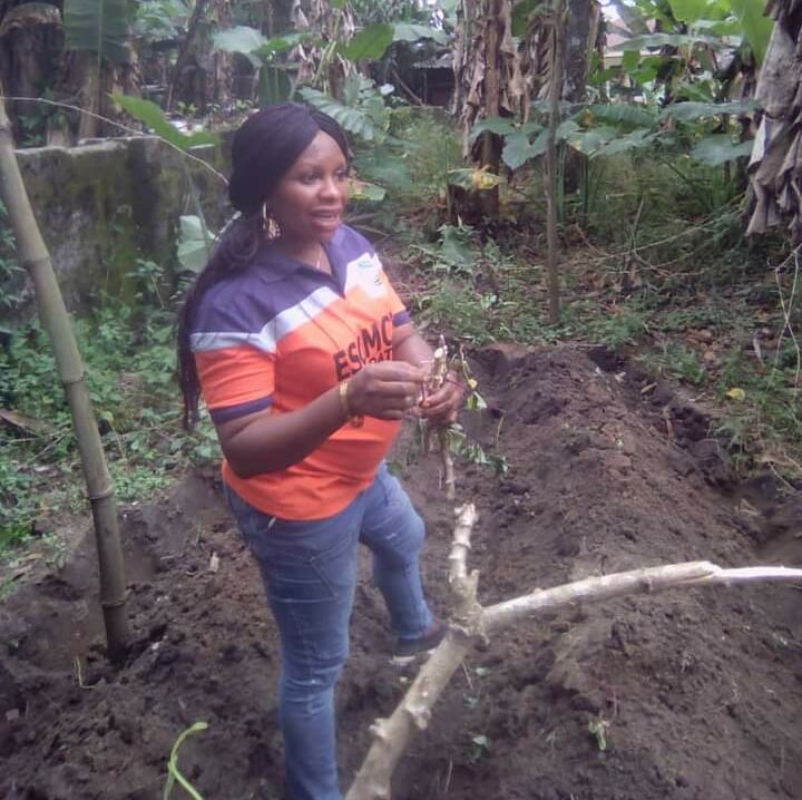 Ms Okoli on a cassava farm