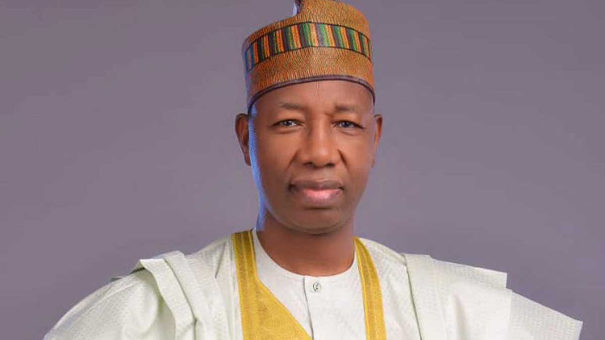 INTERVIEW Why I Want Nigerian Govt To regulate NGOs Lawmaker INTERVIEW Why I Want Nigerian Govt To regulate NGOs Lawmaker