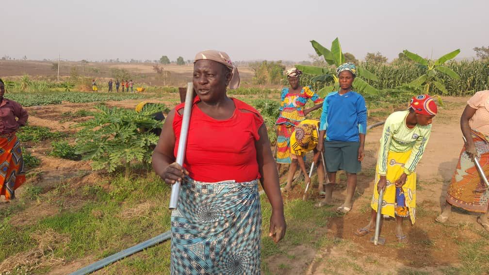 Nigerian women farmers working in a field in Nasarawa community. Image by Abdulkareem Mojeed.