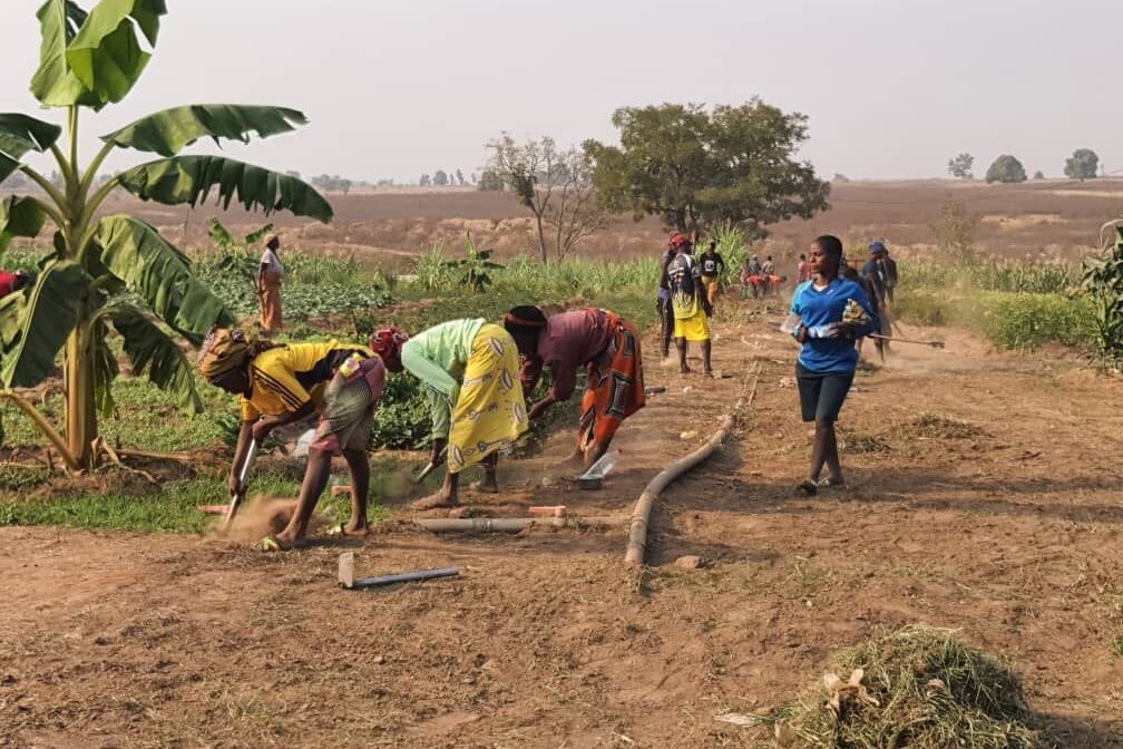 Over 70% of Nigerian households involved in agricultural practices — NBS