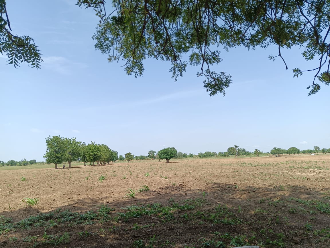 deserted farmland in Kebbi