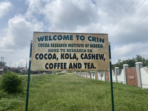 Cocoa Research Institute of Nigeria (CRIN) [PHOTO CREDIT: Abdulkareem Mojeed]