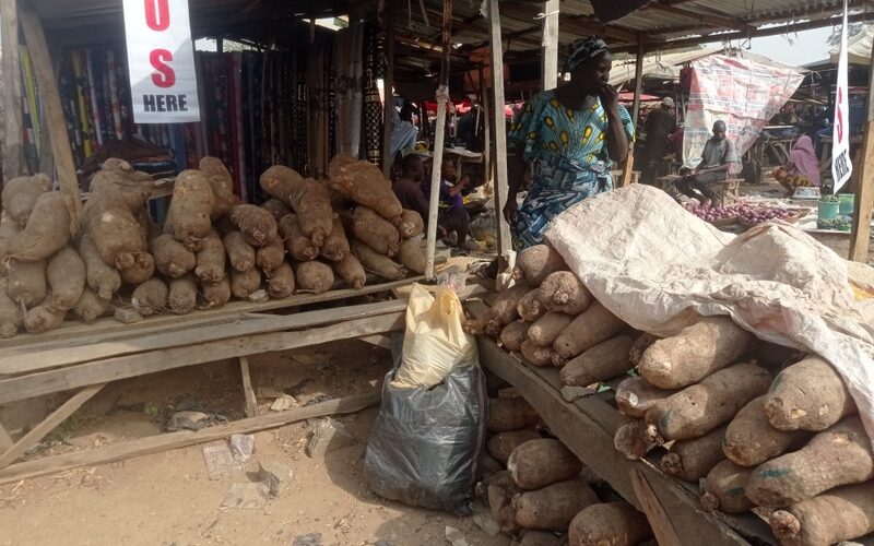 Price of yams soars in Enugu markets