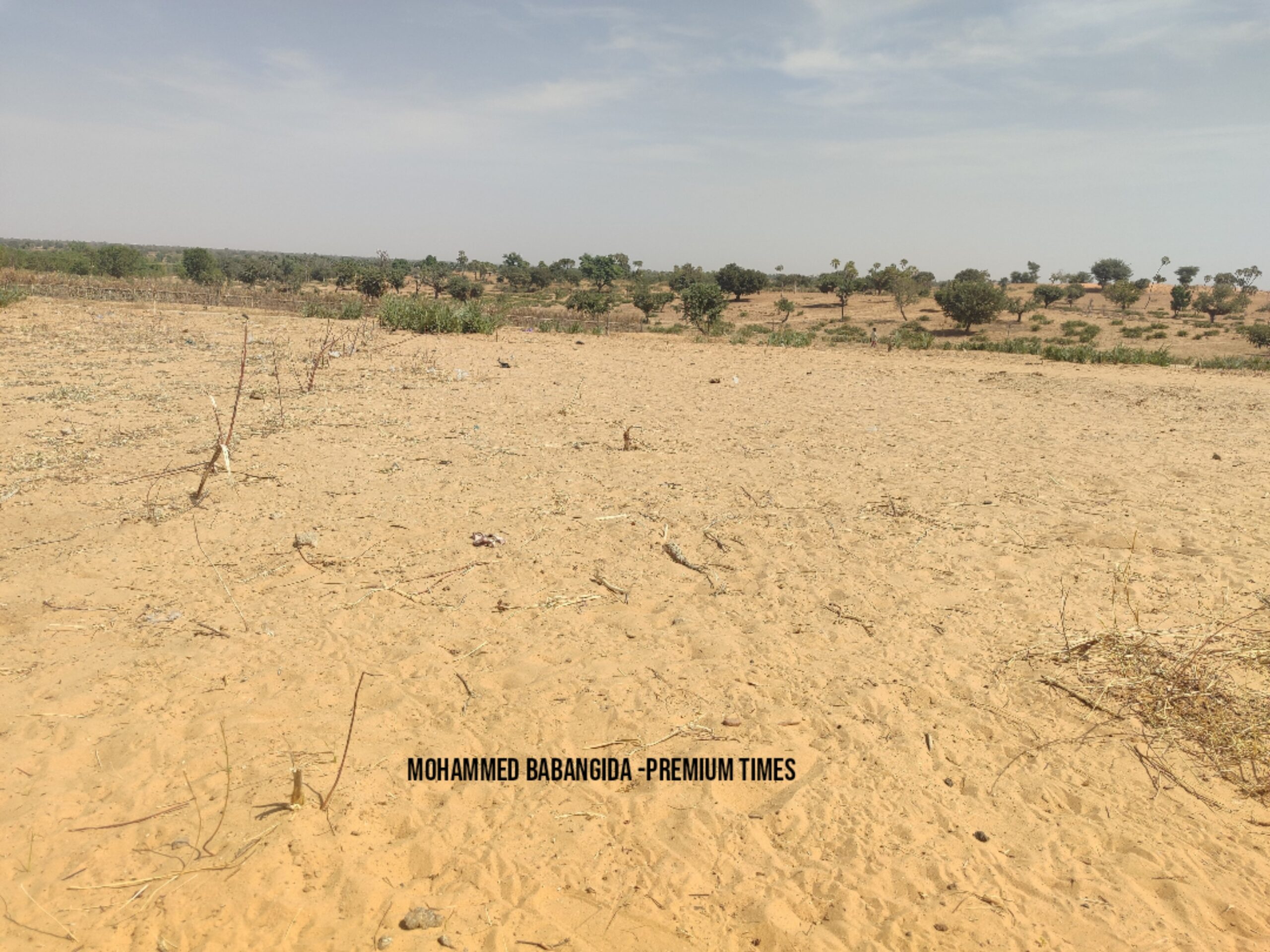 SPECIAL REPORT: Katsina farmers lament impact of climate change