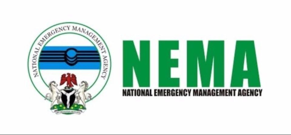 NEMA receives 150 stranded Nigerians from Niger Republic
