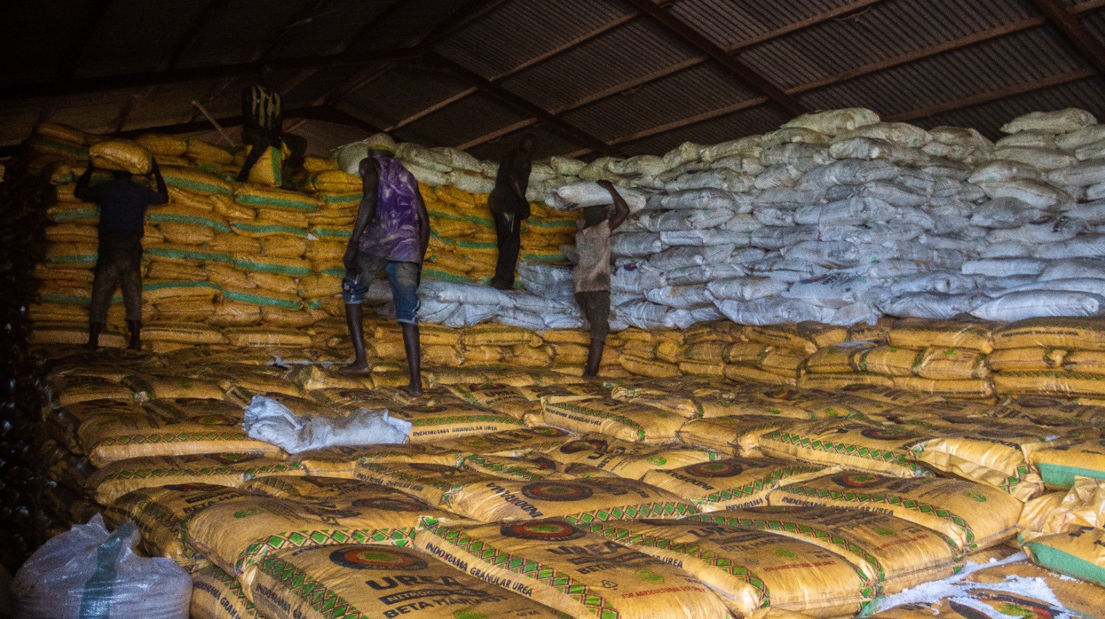 Early fertiliser procurement eased impact of Middle East tensions – PFI NPK