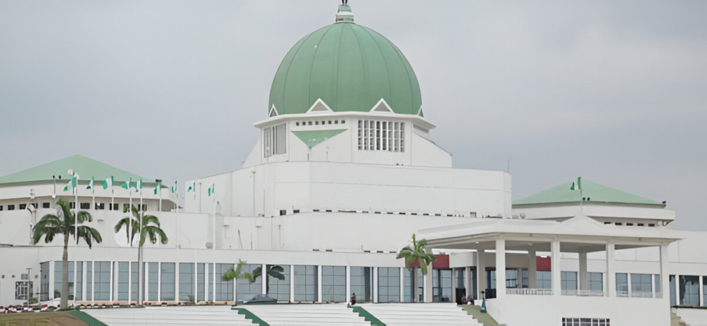 National Assembly Arcade: Nigeria’s misunderstood, contested democratic facility