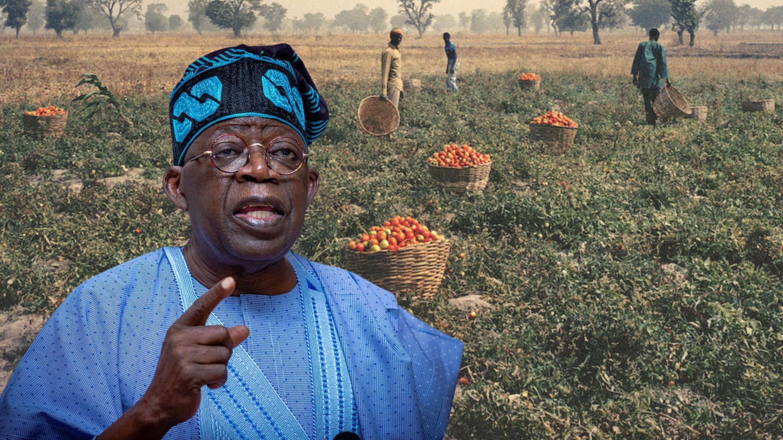 Nigeria secures 449,000 metric tonnes of fertiliser inputs to boost food security – Tinubu