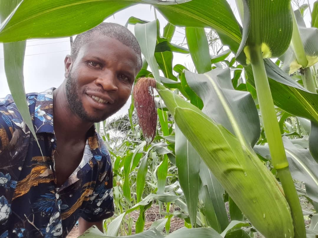 INTERVIEW: How I use AI to promote food security – Farmer