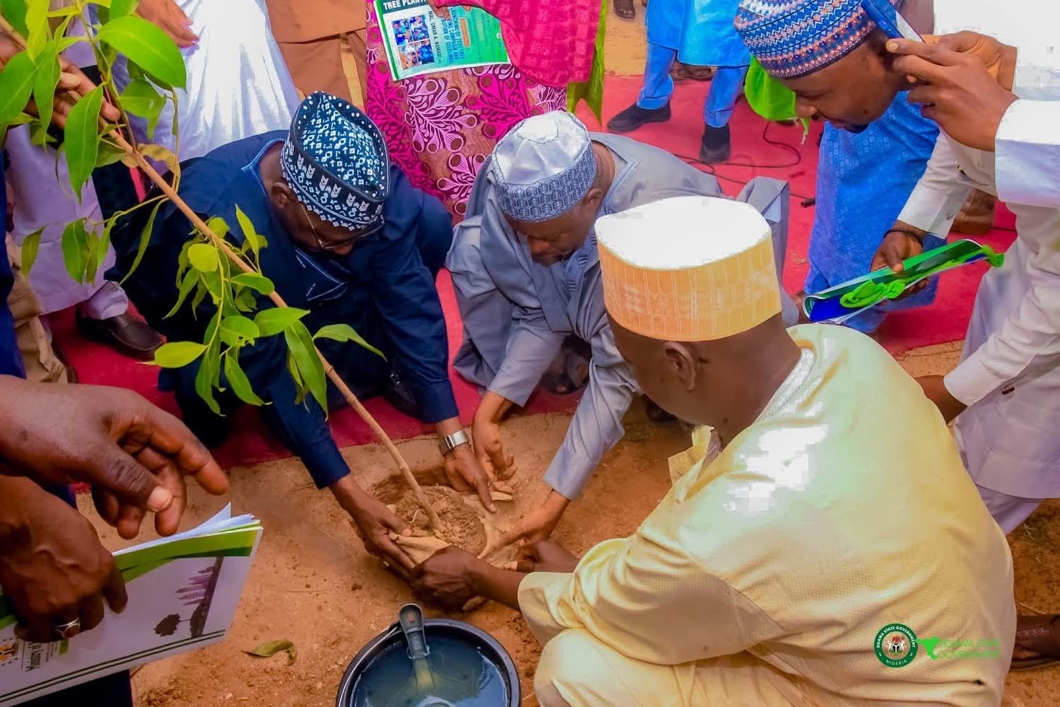 Jigawa govt launches tree planting, aims to reclaim 5,000 hectares of land