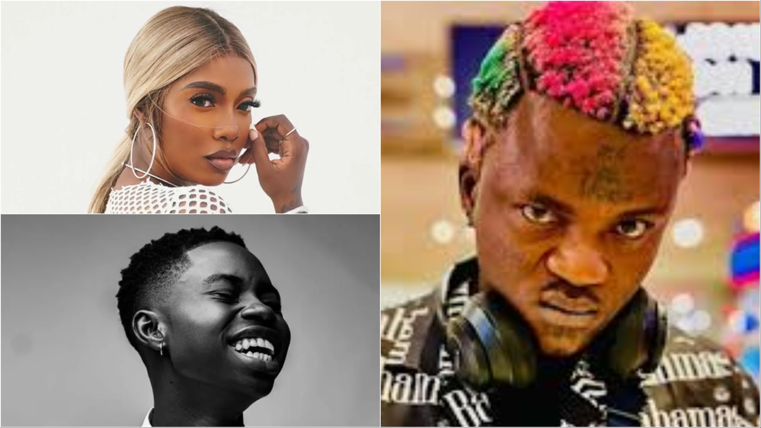 Peller vs Portable, Patrick Doyle vs Wike, Chimamanda’s marriage advice, other ent stories from last week