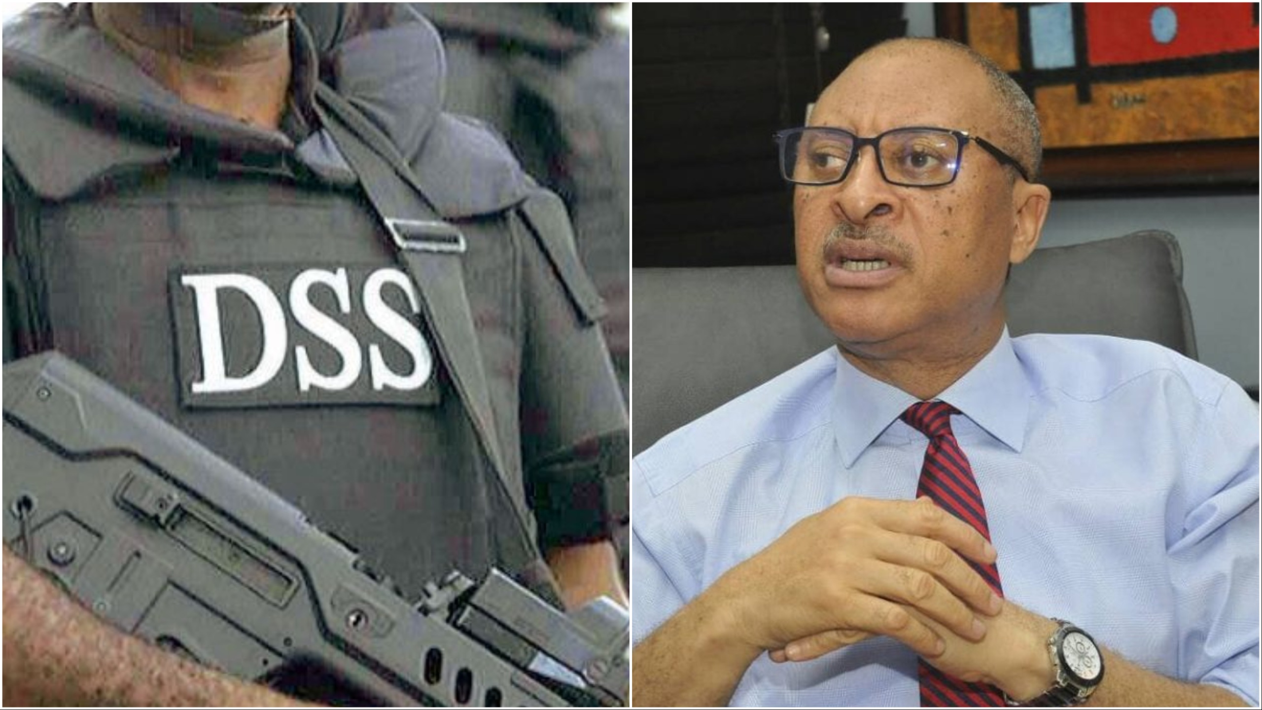 Shadow Government: Court-invited legal experts divided as judge hears SSS suit against Utomi