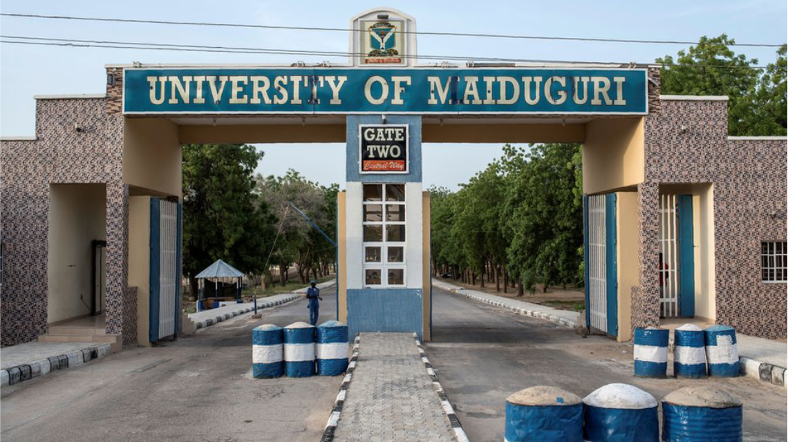 Mixed reactions trail proposed renaming of University of Maiduguri after Buhari