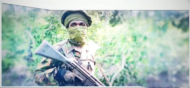 EXCLUSIVE: Nine Boko Haram wives arrested in Niger State