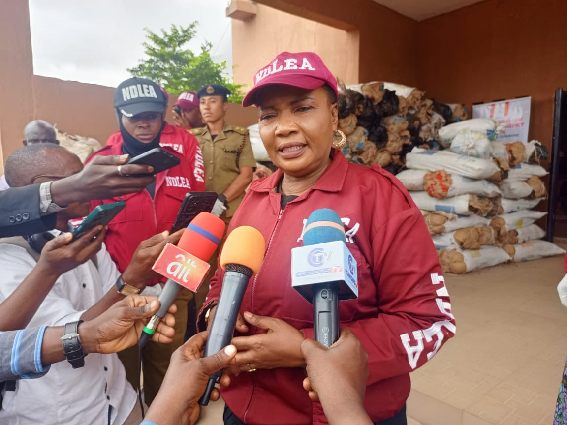 NDLEA beschlagnahmt Cannabis im Wert von mehreren Millionen Naira in Kwara ...