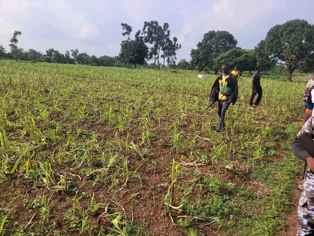 Benue traditional ruler demands withdrawal of soldiers over alleged complicity in herders’ attacks