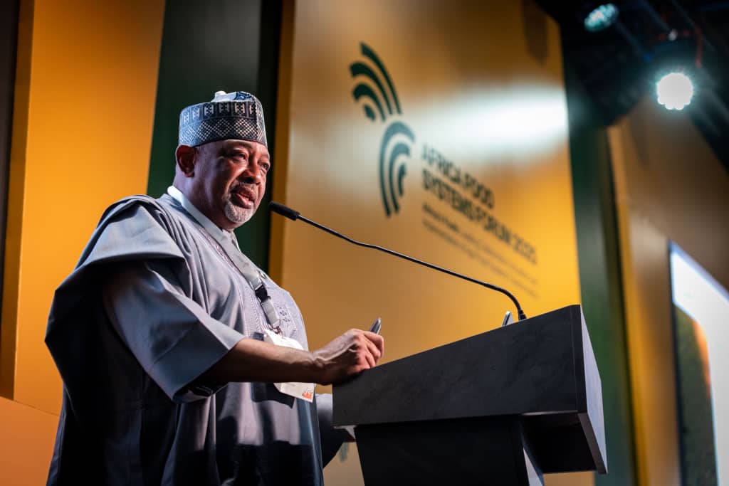 Why we banned export of raw shea nut – Minister