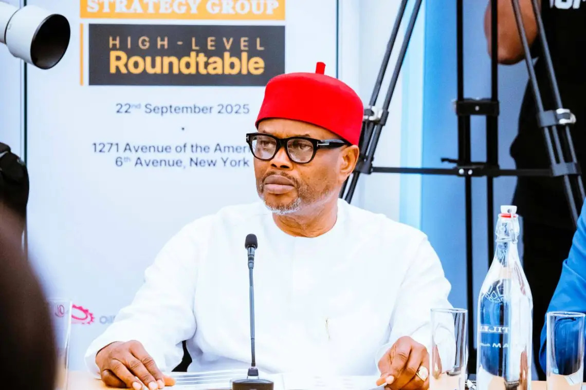 Certificate Forgery: Court to hear UNN’s objection in ex-minister Uche Nnaji’s suit