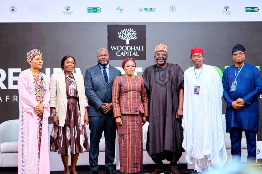 Woodhall Capital targets bn in global investments to drive Nigeria’s development