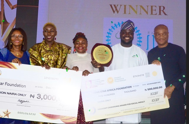 Businesses, non-profits recognised for advancing impact investment at Lagos event