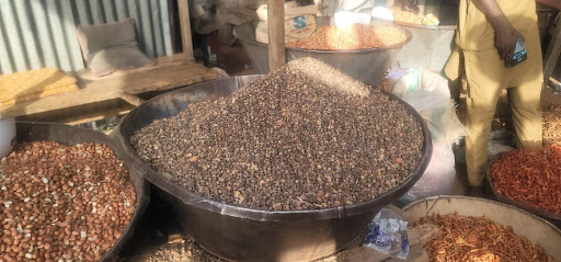 How military’s counter-insurgency, flooding endanger African Locust trees in Sokoto