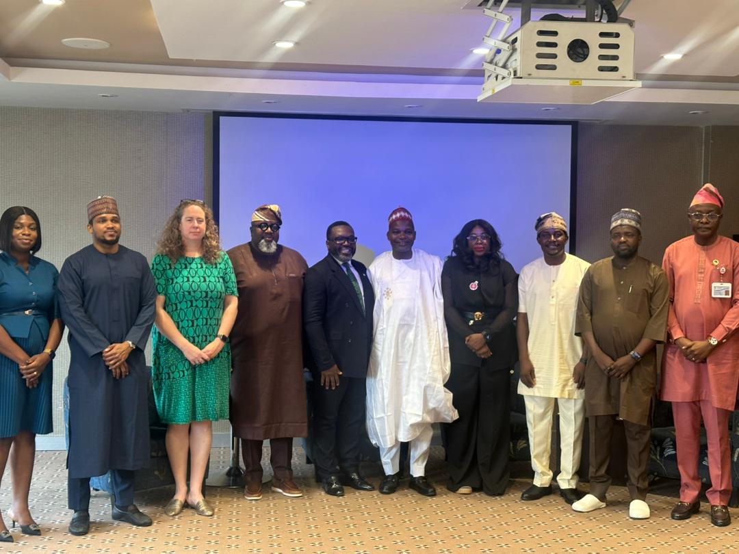 Only 2.5GW of Nigeria’s 14GW hydro-power capacity reaches national grid — Official