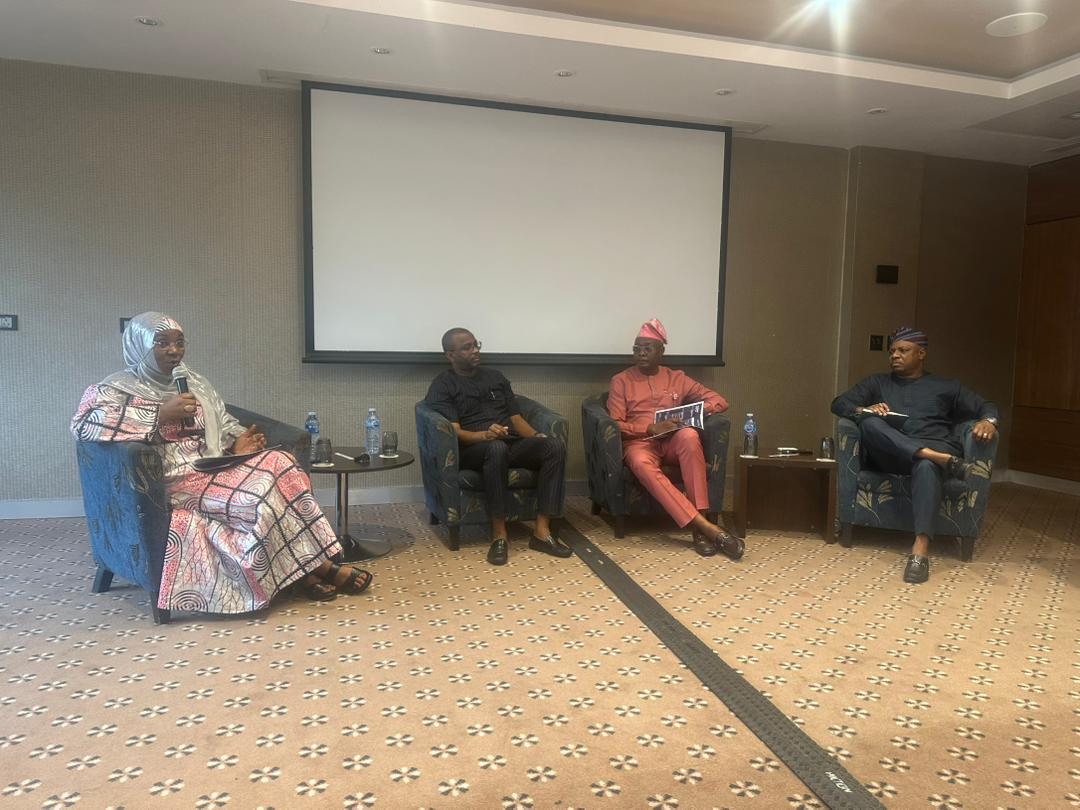 Experts discuss challenges, opportunities in small river hydropower development in Nigeria