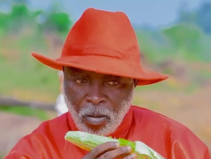 Actors Guild reacts to alleged involvement of Stanley Amandi in coup to topple Tinubu