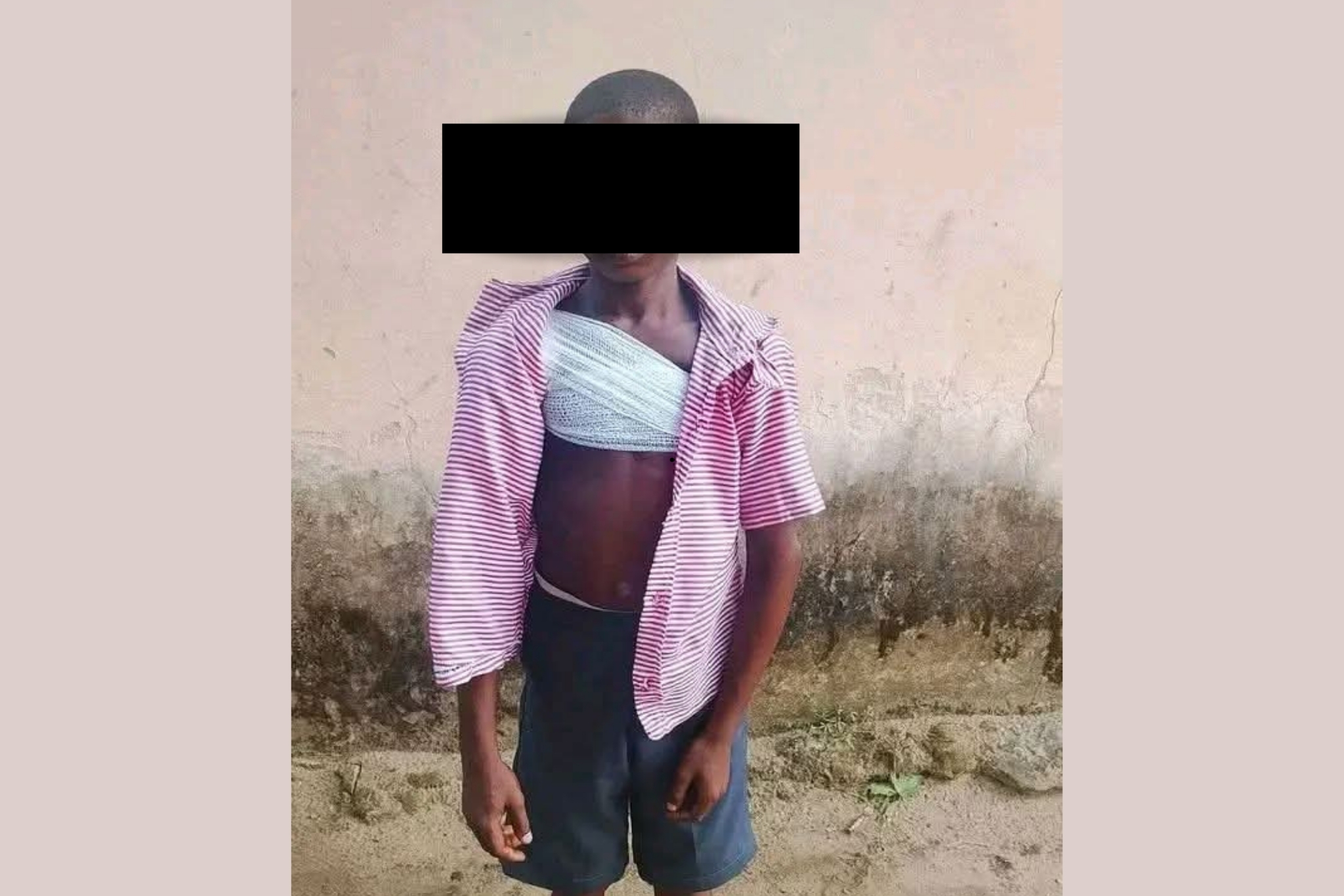 Police dispute claim over injured schoolboy, arrest blogger