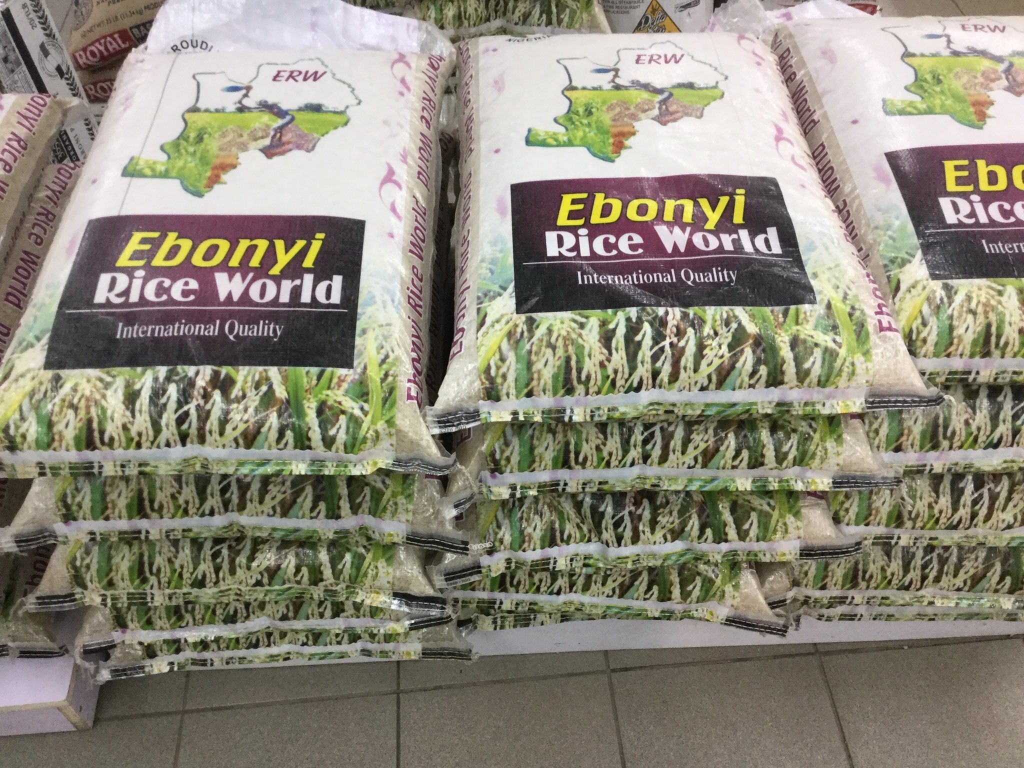 Food Security: Ebonyi is powering Nigeria’s rice revolution