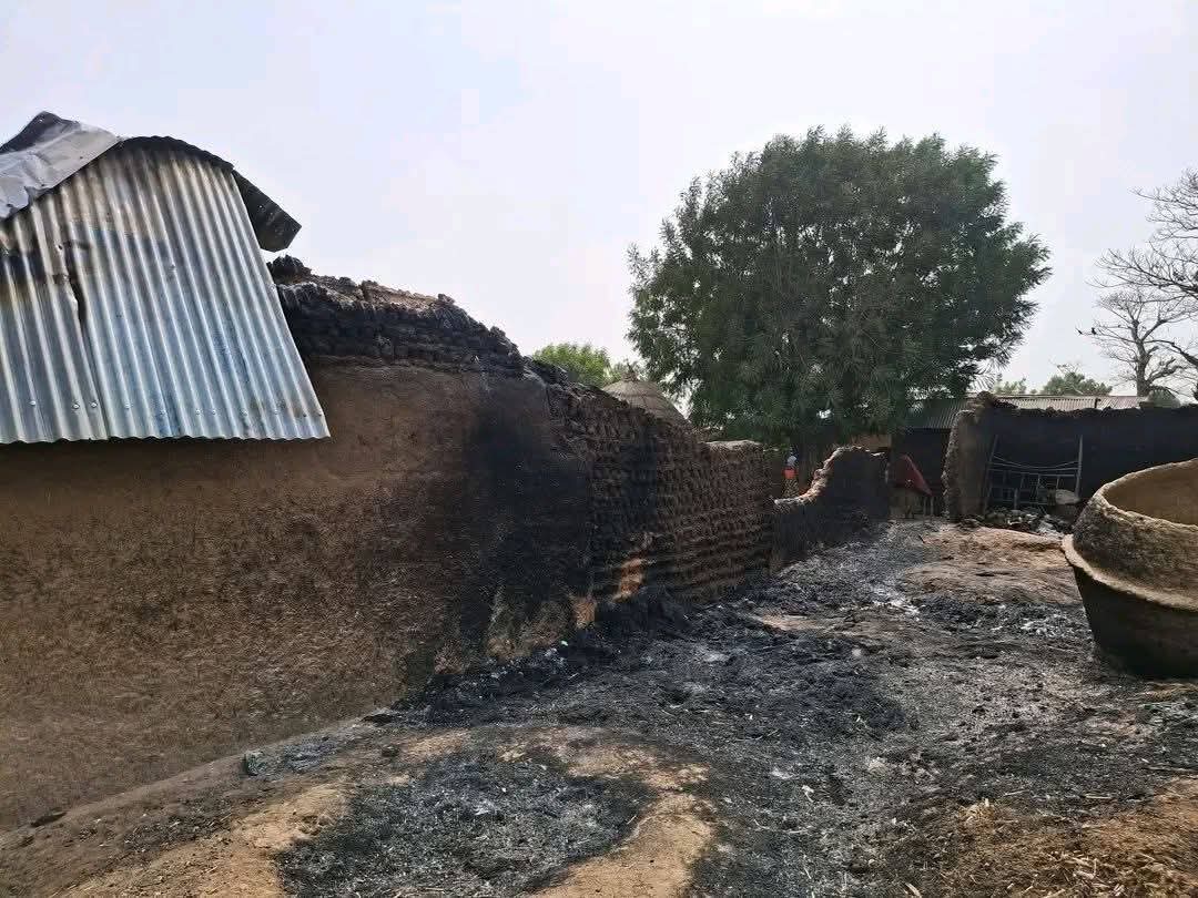 Over 50 killed in latest Zamfara attacks – Lawmaker