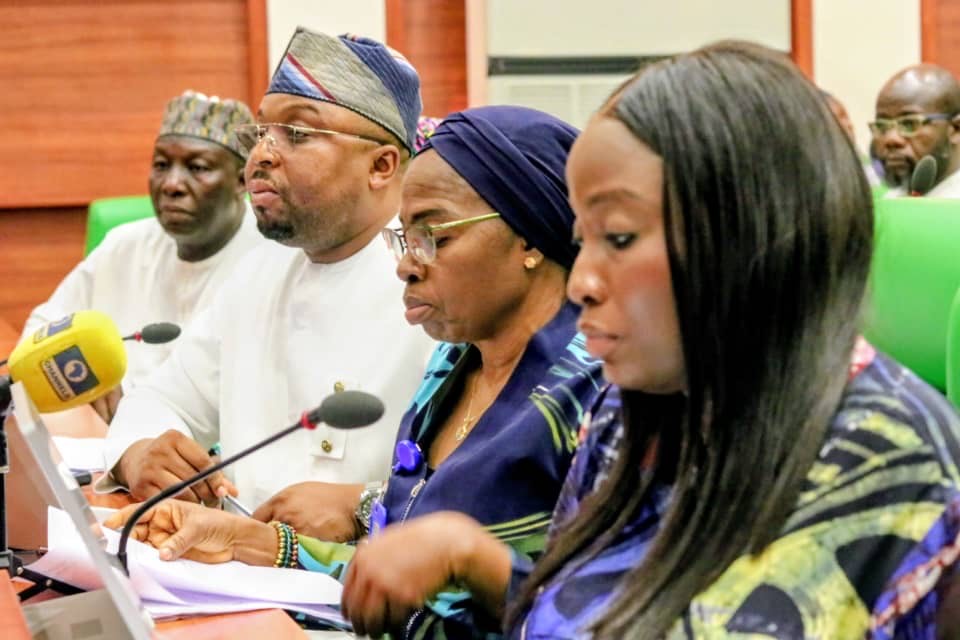 Concerns raised as Nigeria’s revenue-generating agencies appear before lawmakers