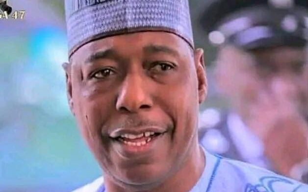 Borno reintegrates 720 ex-Boko Haram fighters, says nearly 10,000 rehabilitated under programme