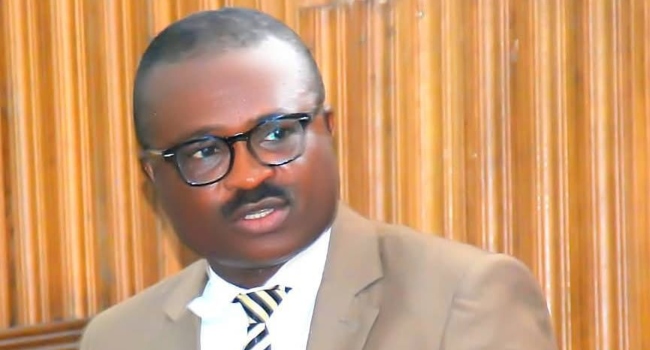 Suspended Nigerian lawmaker apologises over alleged wife assault