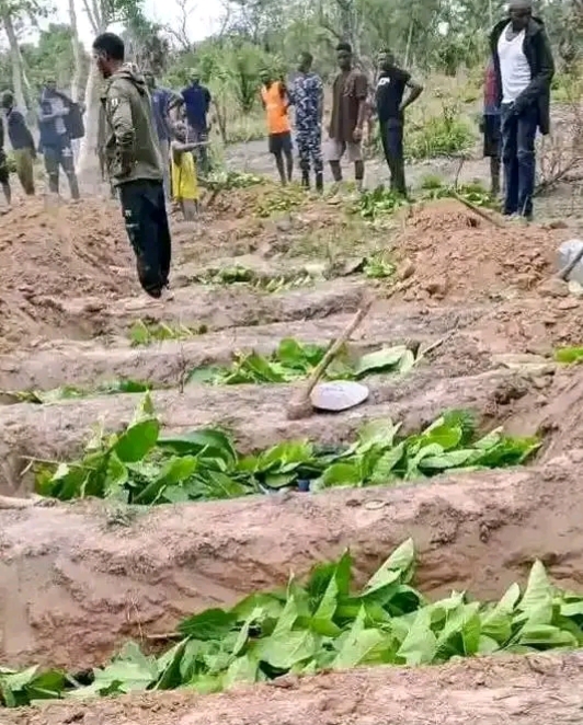 Nine killed in fresh attack as fear grips Benue communities