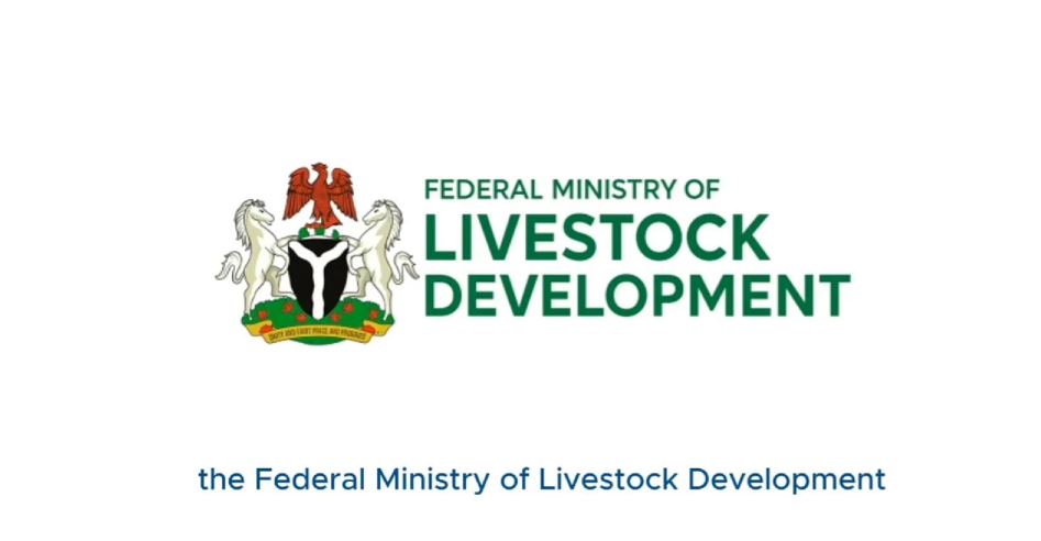 Nigeria gov’t approves new Chicken variety ‘MoorBeta’